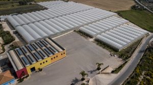 https://www.societagricolafabio.it/wp-content/uploads/2022/03/drone2.jpg